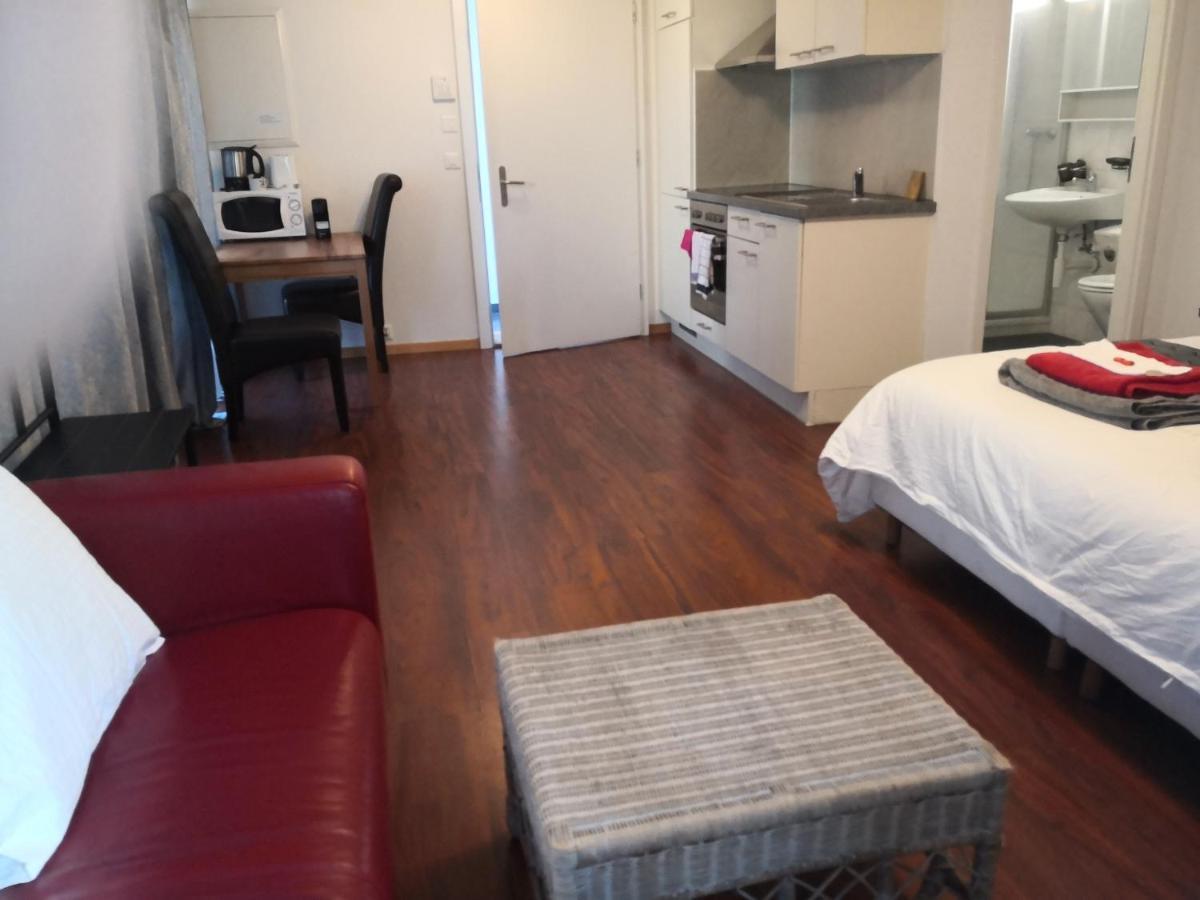 Unterseen Unteregasse21 Apartments المظهر الخارجي الصورة